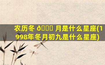 农历冬 💐 月是什么星座(1998年冬月初九是什么星座)